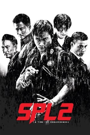 Kill Zone 2 (2015) Hindi Dual Audio 480p BluRay 400MB