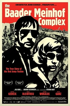 The Baader Meinhof Complex (2008) Hindi Dual Audio 720p HDRip [1.2GB]