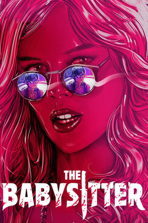 The Babysitter (2017) Hindi Dual Audio 480p WebRip 300MB