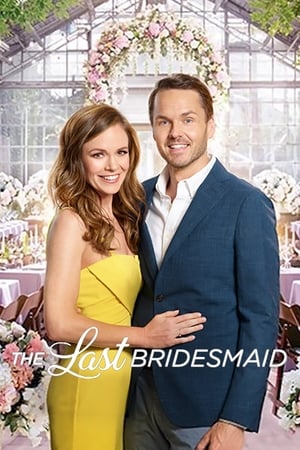 The Last Bridesmaid (2019) Hindi Dual Audio HDRip 720p – 480p