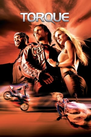 Torque 2004 300MB Hindi Dual Audio BRRip Download